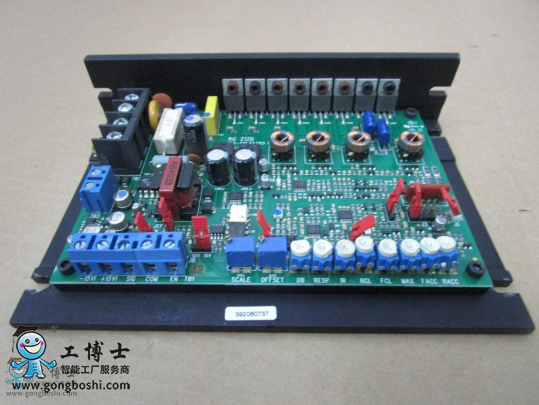 �����C�������