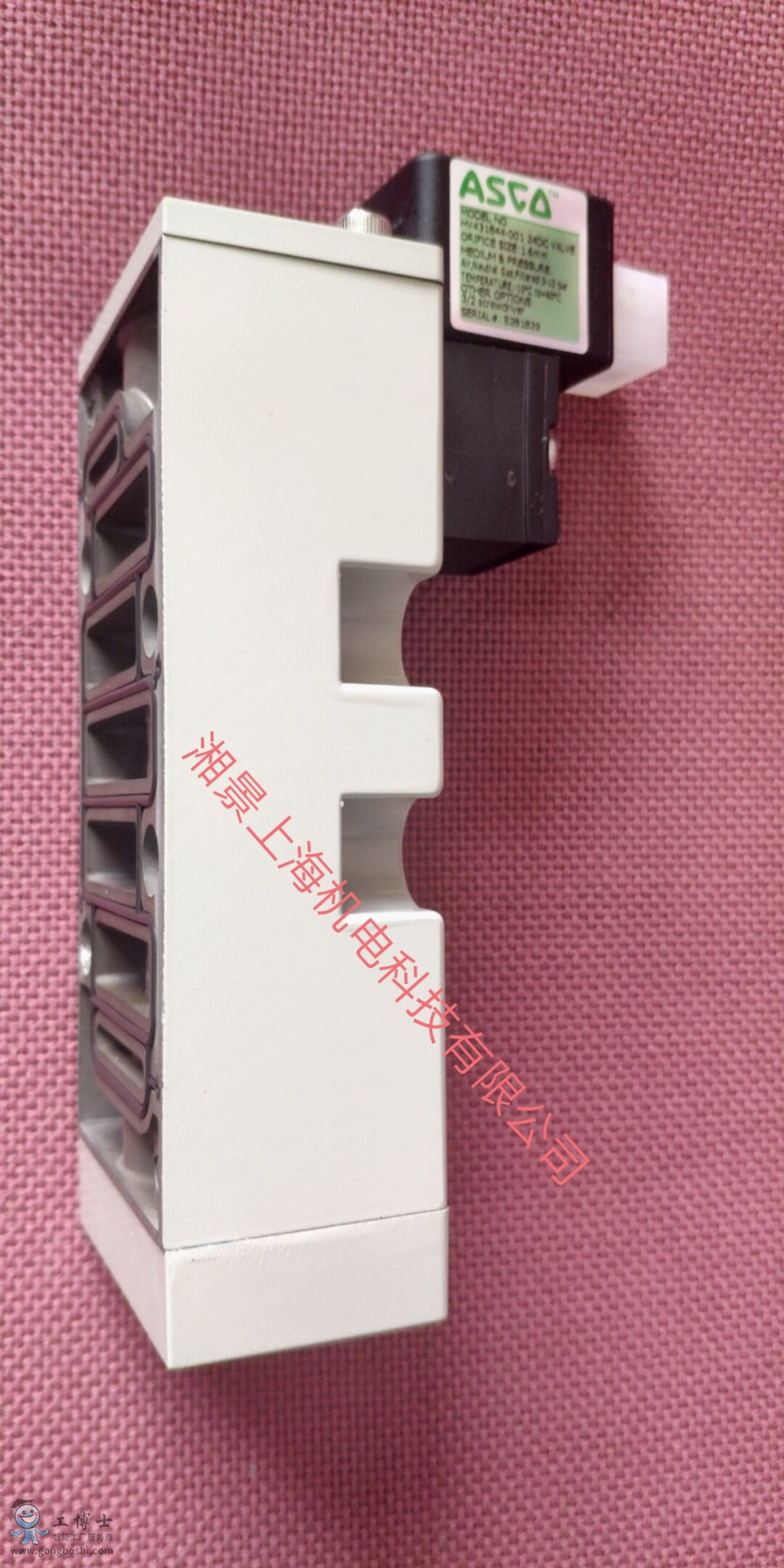 QQ�DƬ20200801231146