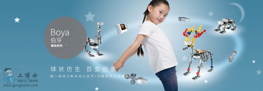 �����L���C����