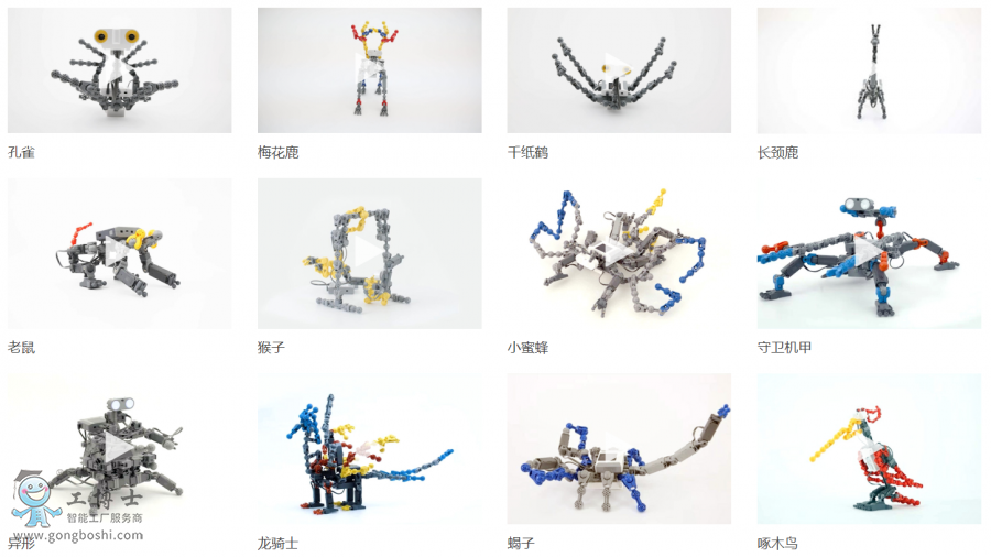 �����L���C����