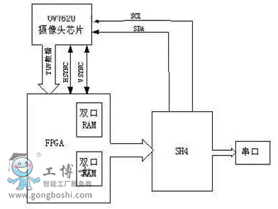 �����C�������