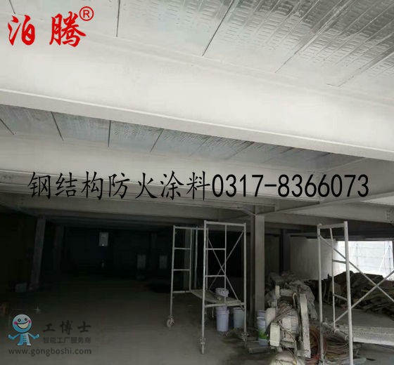 鋼結(jié)構(gòu)防火涂料2-副本