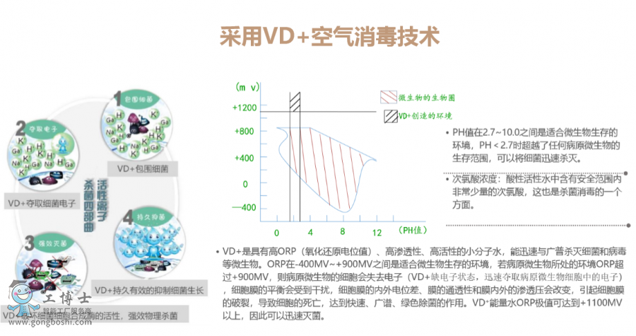 ����Ƶ�C����