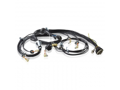 ����ʿ�̳�