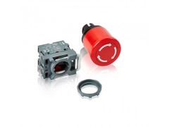 ����ʿ�̳�