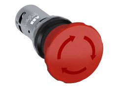 ����ʿ�̳�