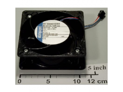 ����ʿ�̳�