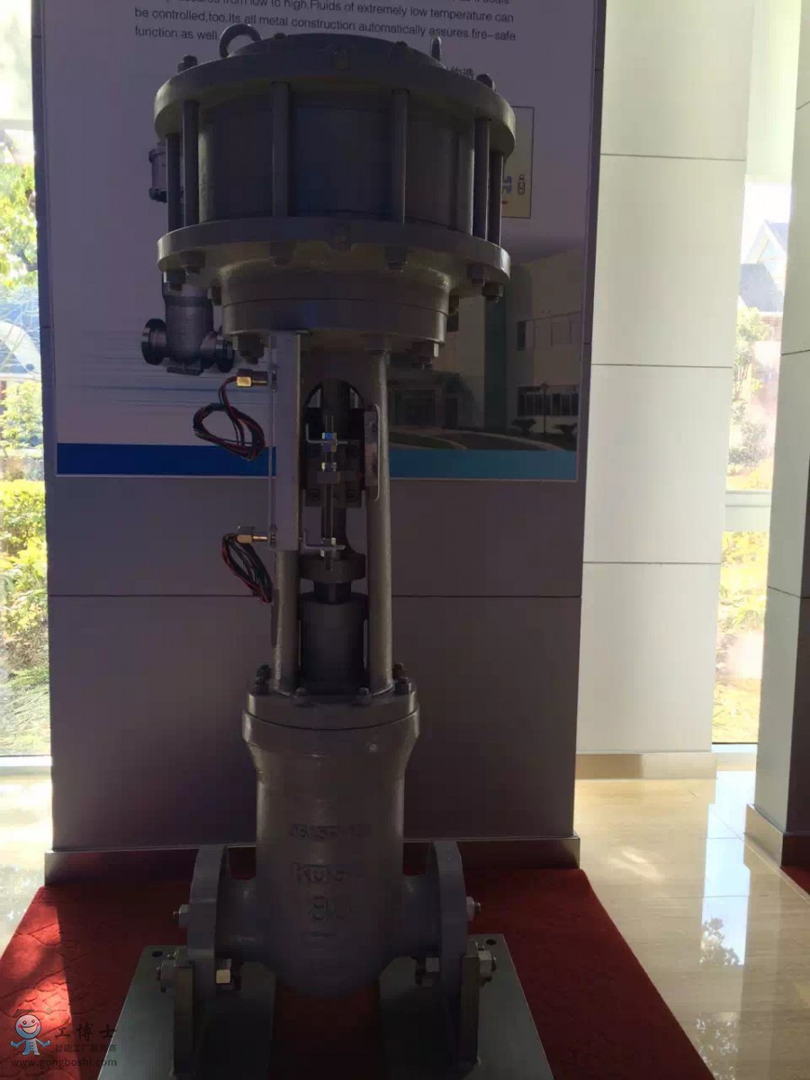 koso�o�a���b�{���y