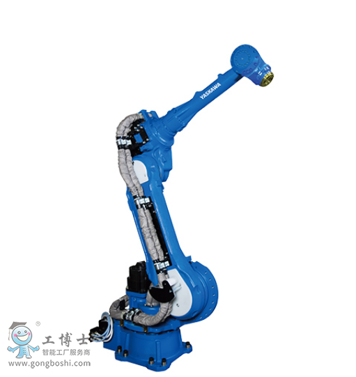 �����C����