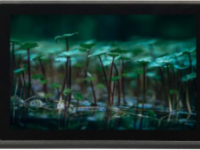 �������ʽ�|����