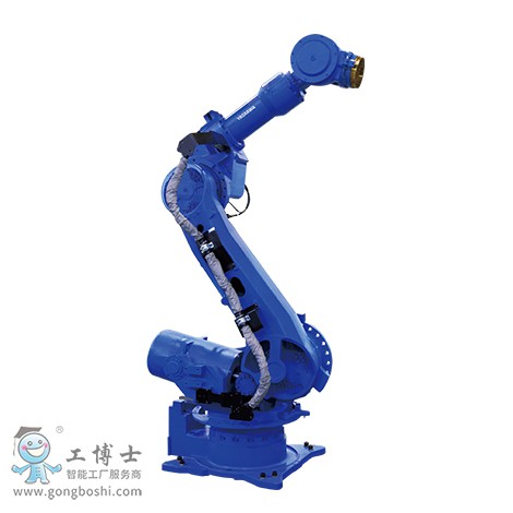 �����C����