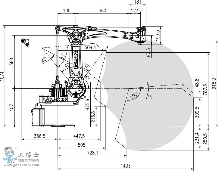 �V���C����