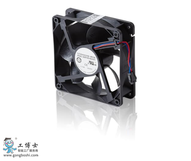 �C�������