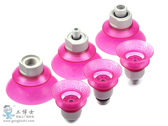 ���������P