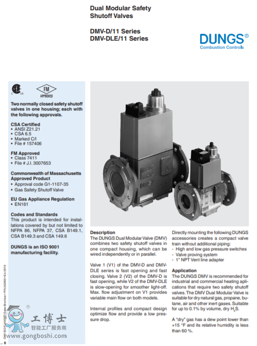 �pģ�K��ȫ��ֹ�y|DMV 5