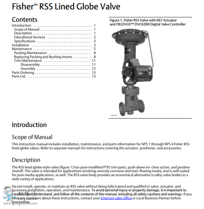 Fisher™ RSS LinedGlobe 閥