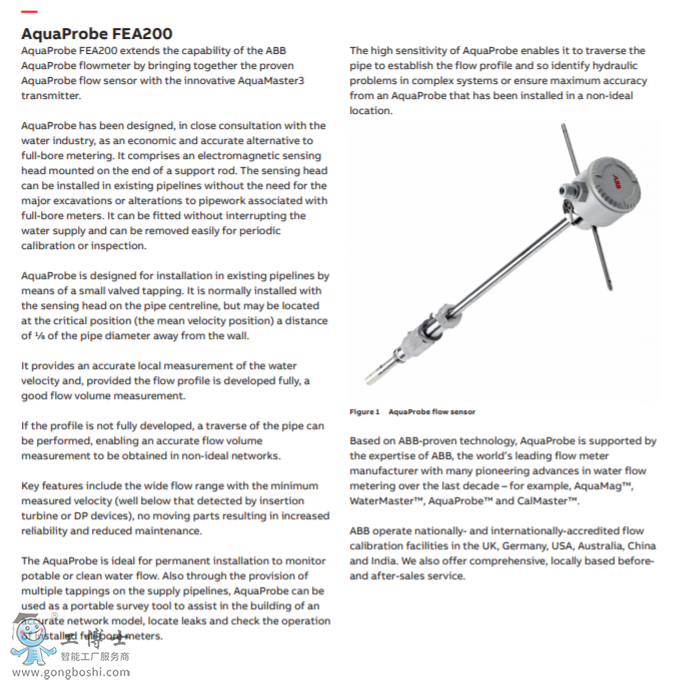 插入式電磁流量計 AquaProbe