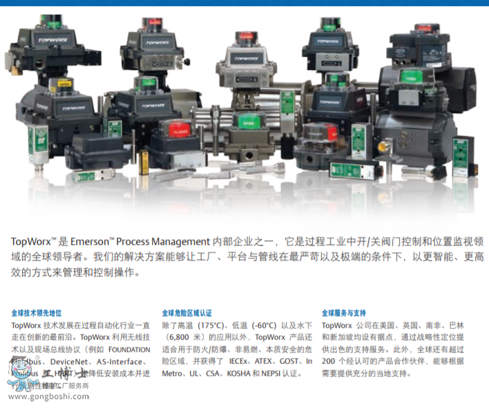 TopWorx? DXP ����