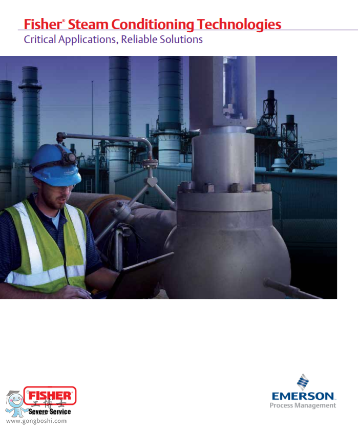 FISHER?CVX�������{(di��o)��(ji��)�y