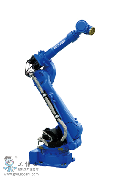 �����C����