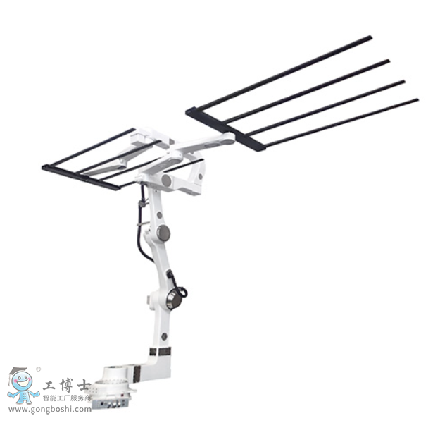 �����C����