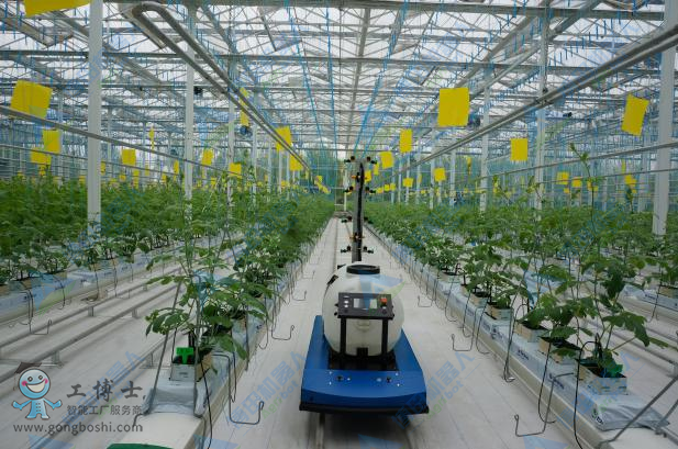 ���҇��F�C����