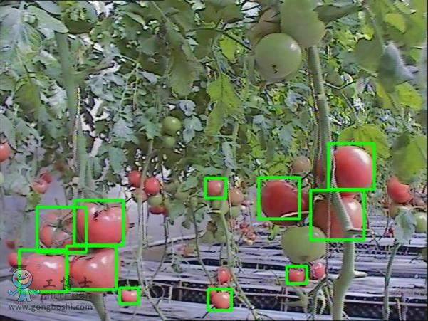 �ǽY(ji��)��(g��u)�h(hu��n)�������R(sh��)�e�Ͷ�λ