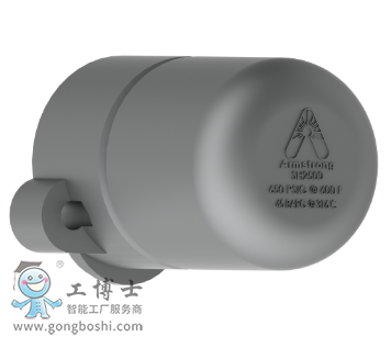 ��ķ˹��armstrong��ˮ�y