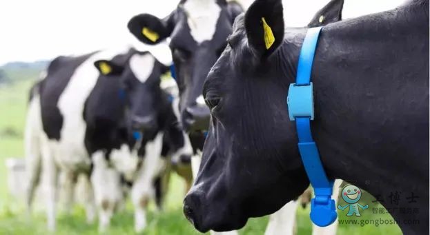 �ǻ�����