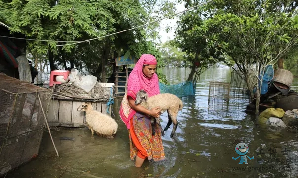 ���(z��i)���D(zhu��n)���������