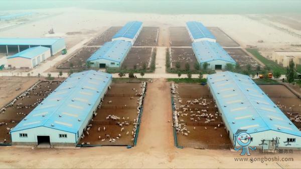 �ǻ��r(n��ng)��