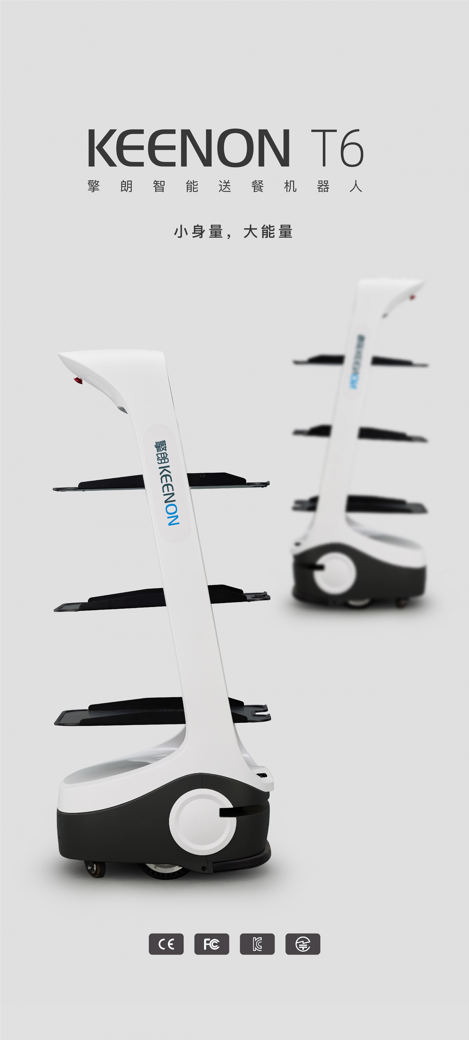 �����Ͳ͙C����T6