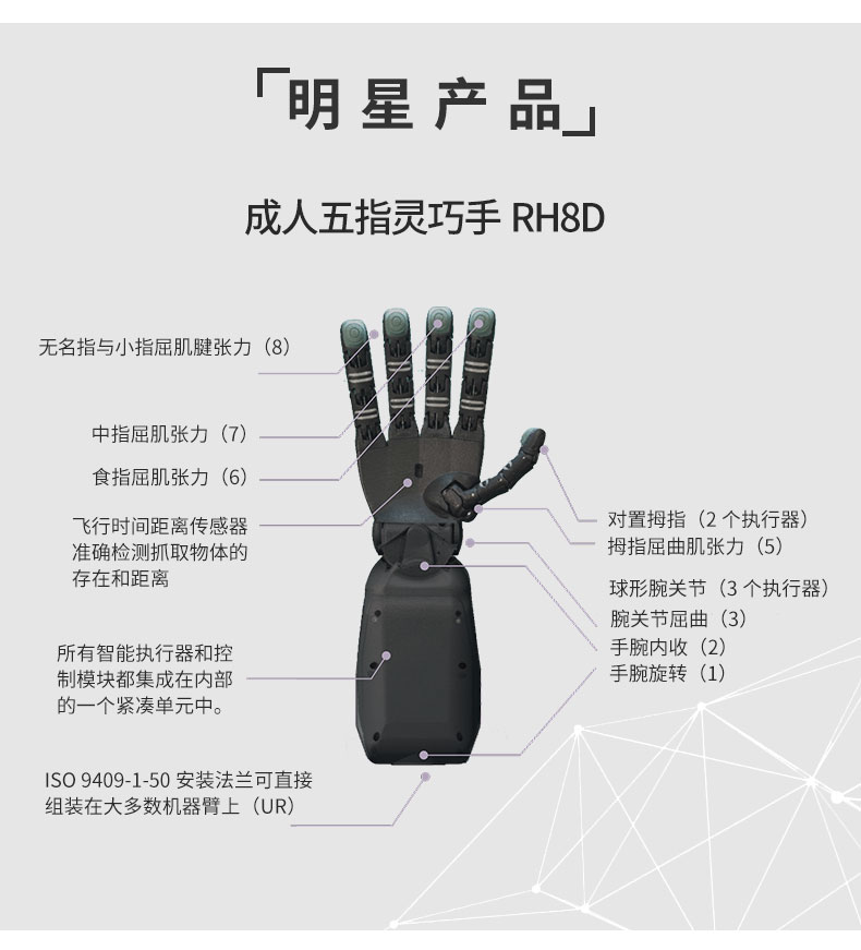 seed��Ԕ��_(k��i)03