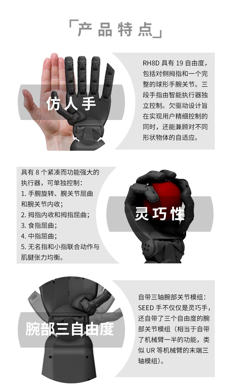 seed��Ԕ��_(k��i)04