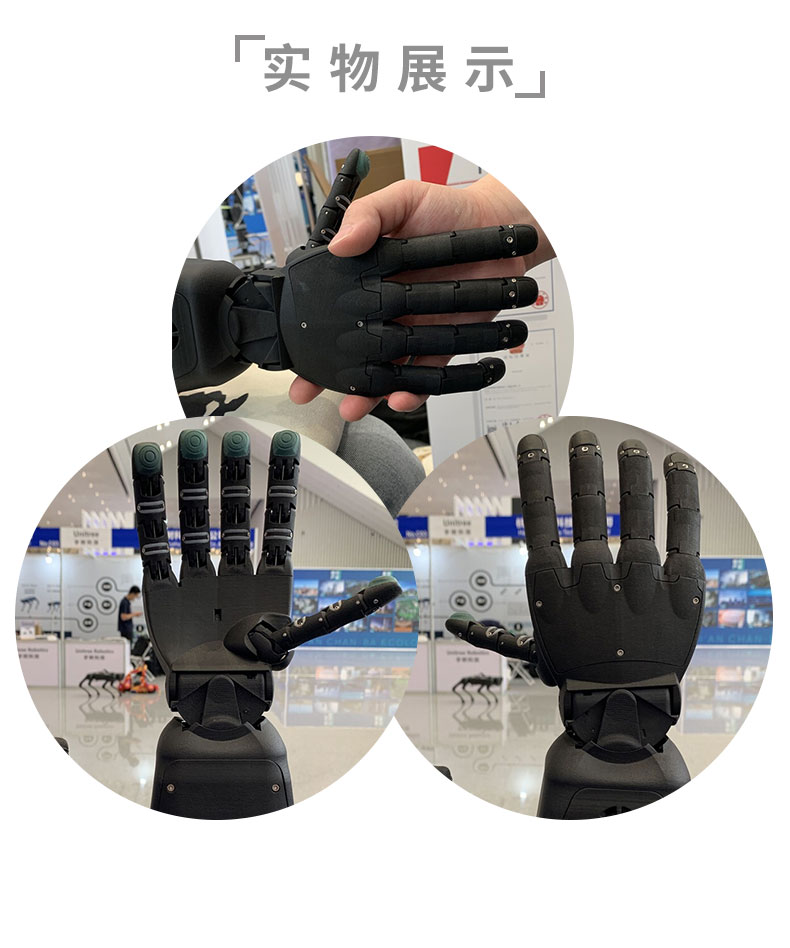 seed��Ԕ��_(k��i)08