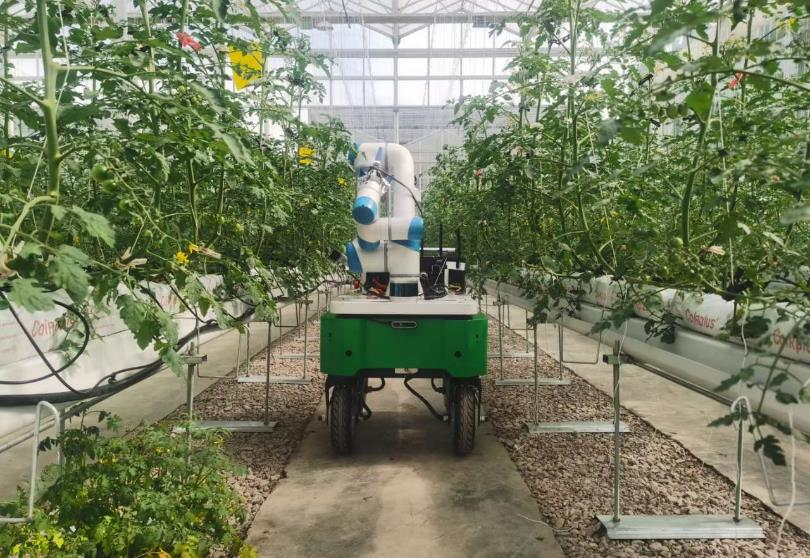 法奧機器人農業應用 全智能采摘機器人問世